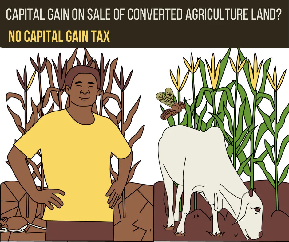 Capital Gain On Sale Of Converted Agriculture Land? (2023) Exempt