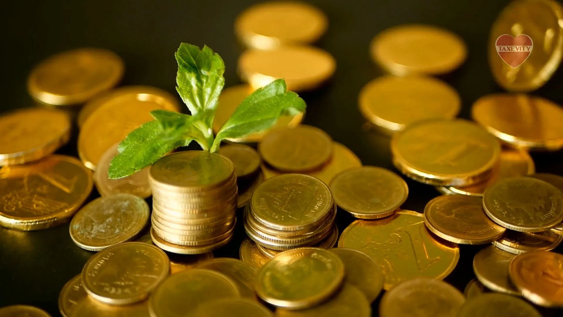 The Estate Bond Leave A Larger Estate AfterTax