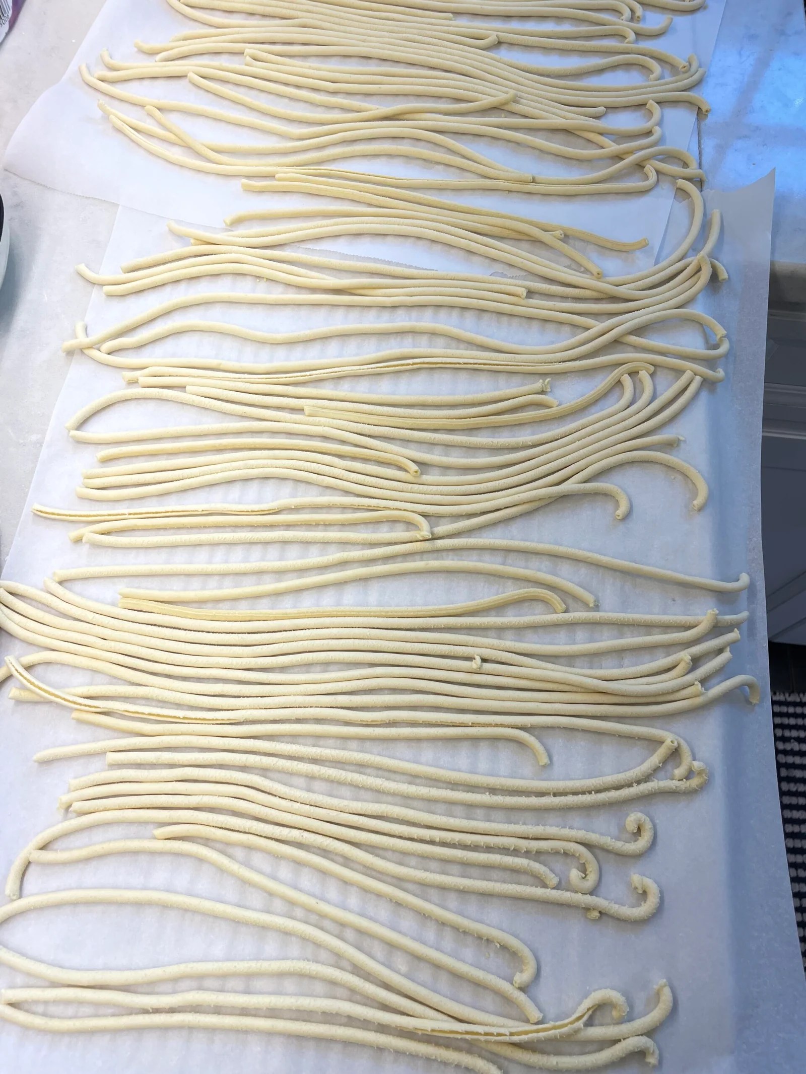 Pasta Extruder Dough Taylor Likes