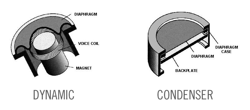 What's The Difference Between a Dynamic and Condenser Microphone