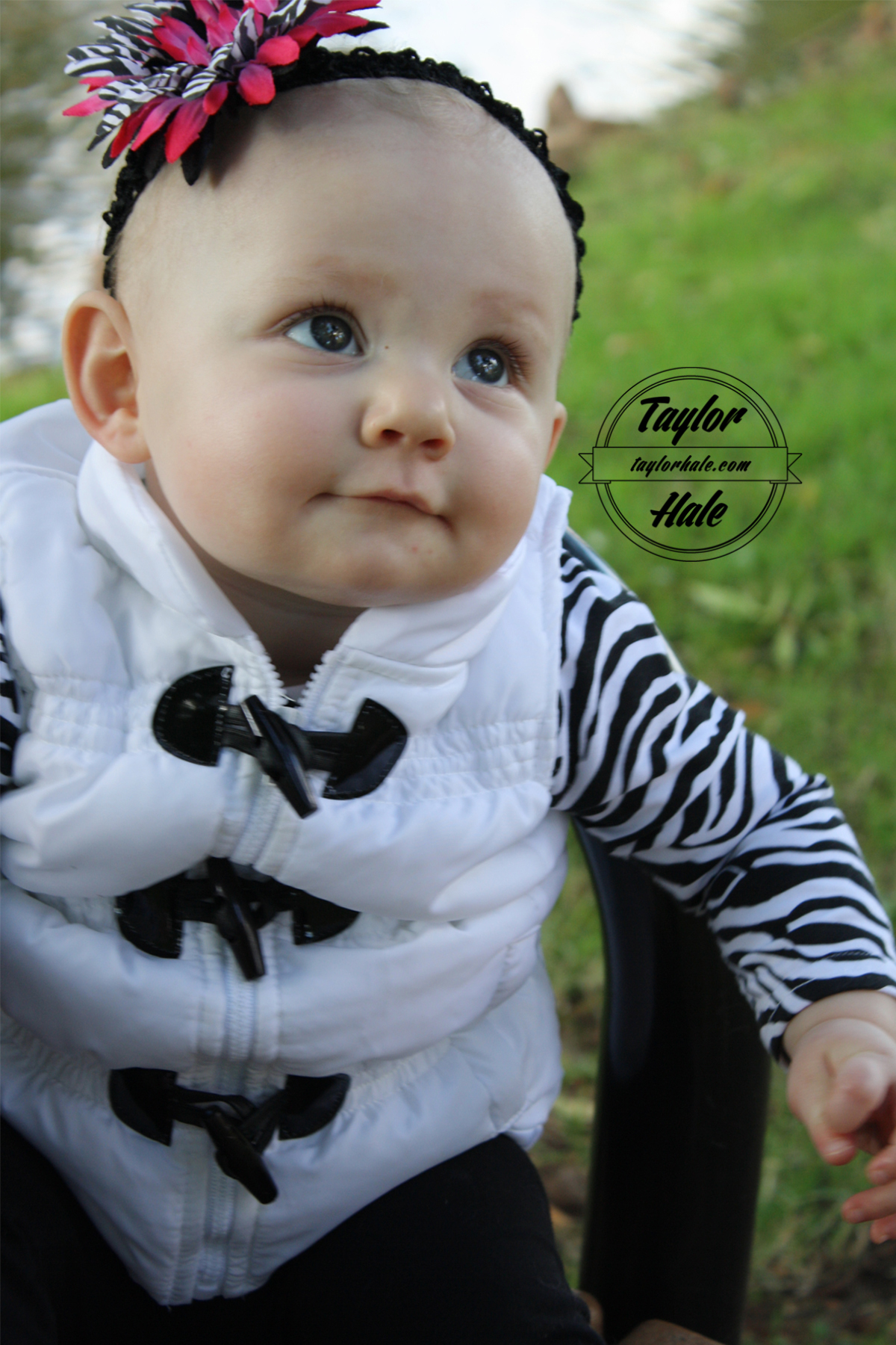 Taylor Hale Graphics & Web Design