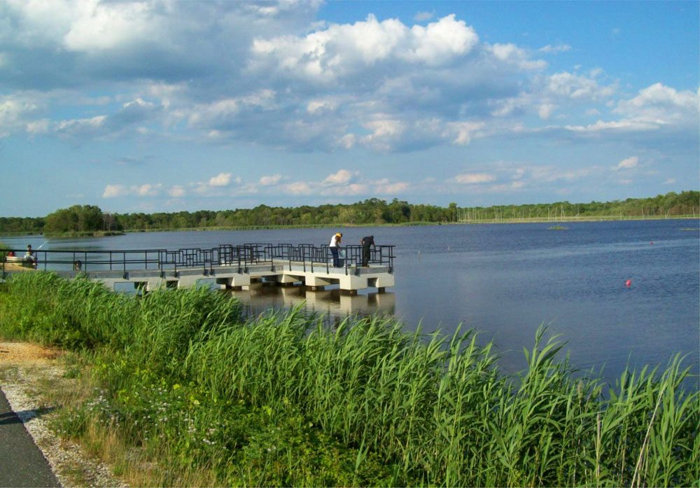 Heislerville Wildlife Management Area Taylor Wiseman & Taylor