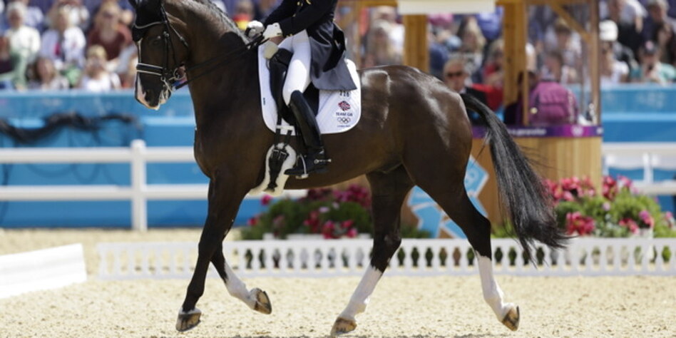 Olympia Reiten Valegro stößt sich das Bein taz.de