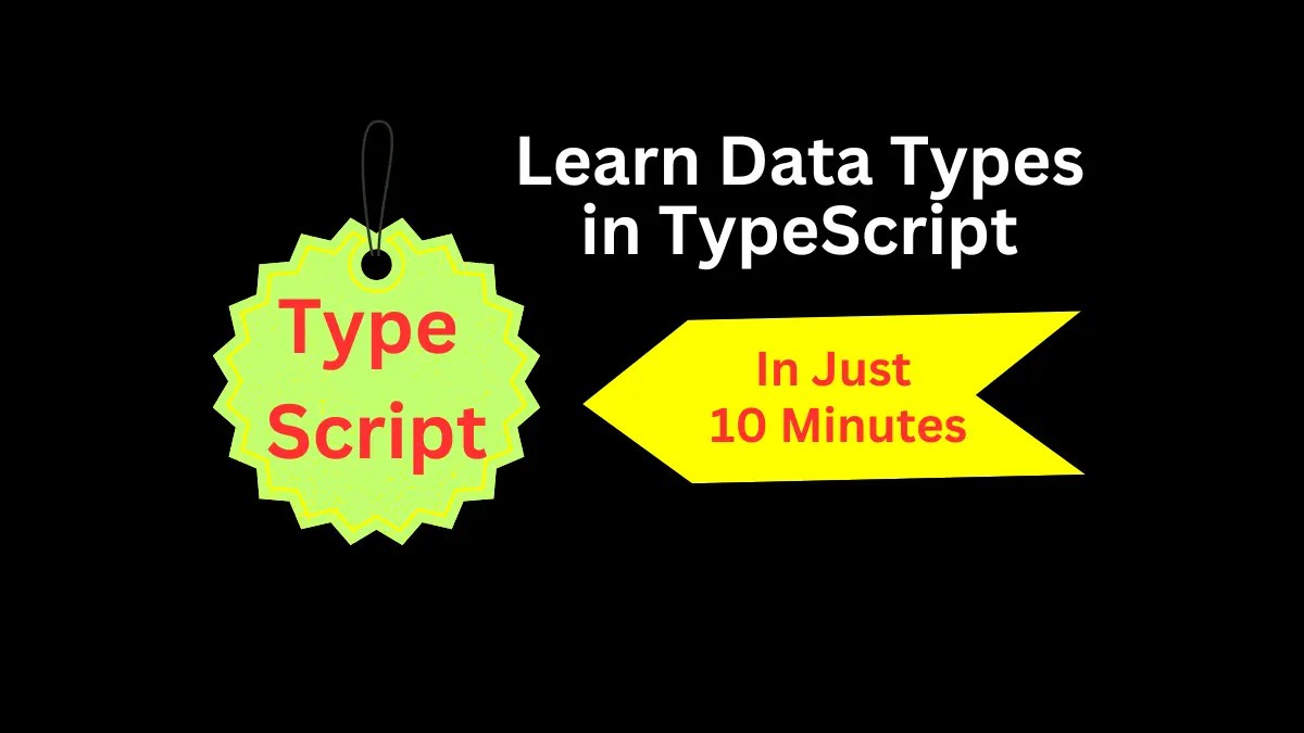 How to Learn Data Types in TypeScript Learn Computer Science