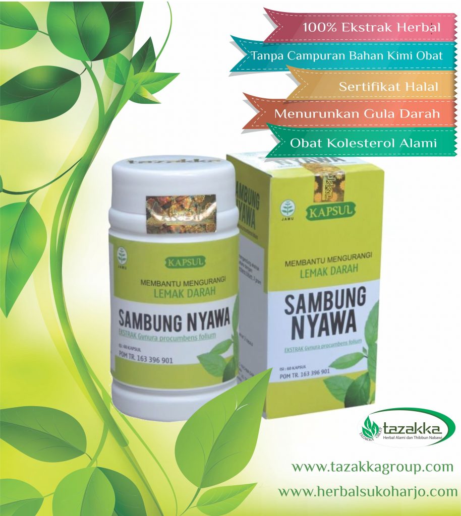 produk obat herbal tazakka yang ampuh untuk mengobati penyakit