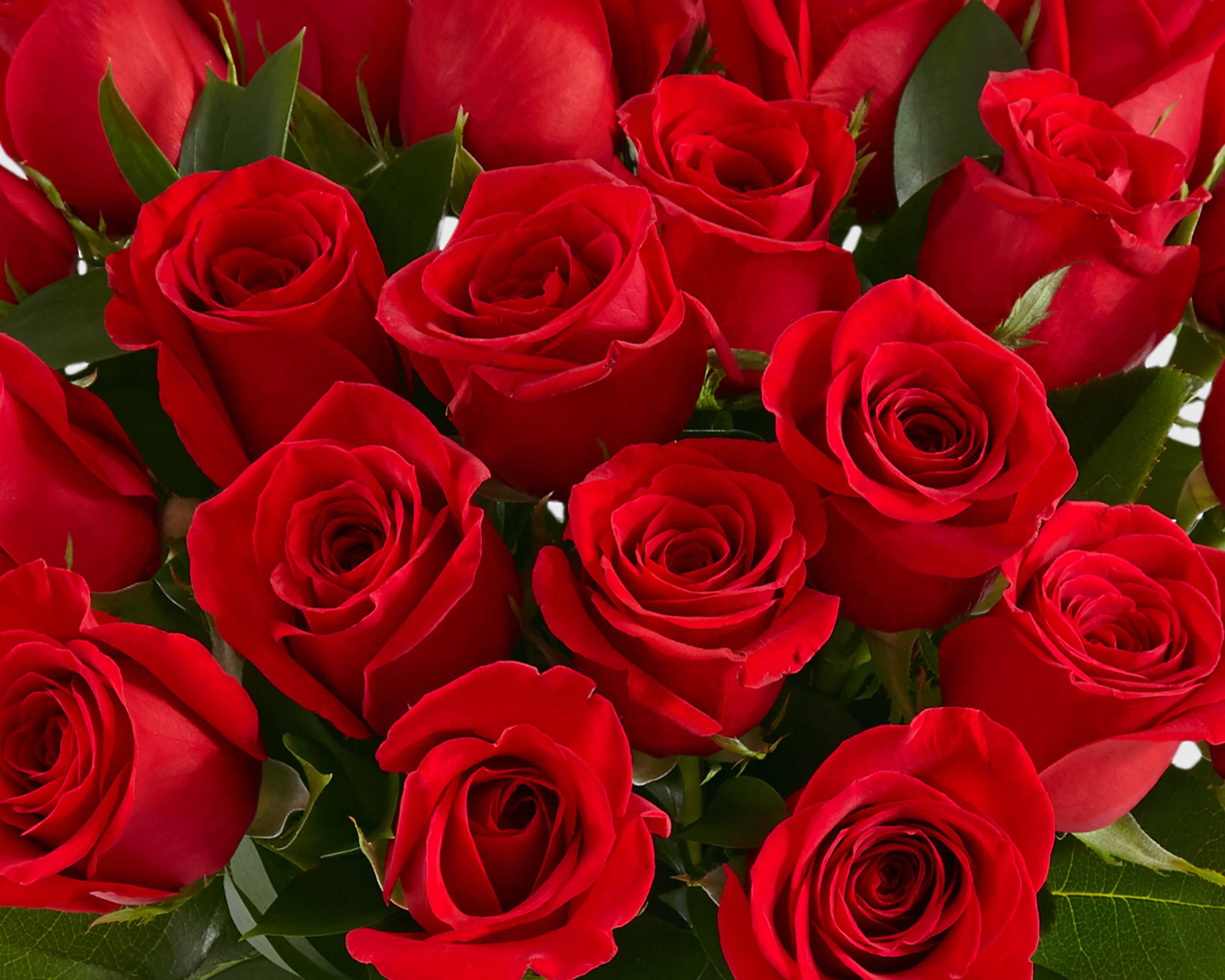 ProFlowers (7090 BROADWAY) Menu Lemon Grove • Order ProFlowers (7090 BROADWAY) Delivery Online