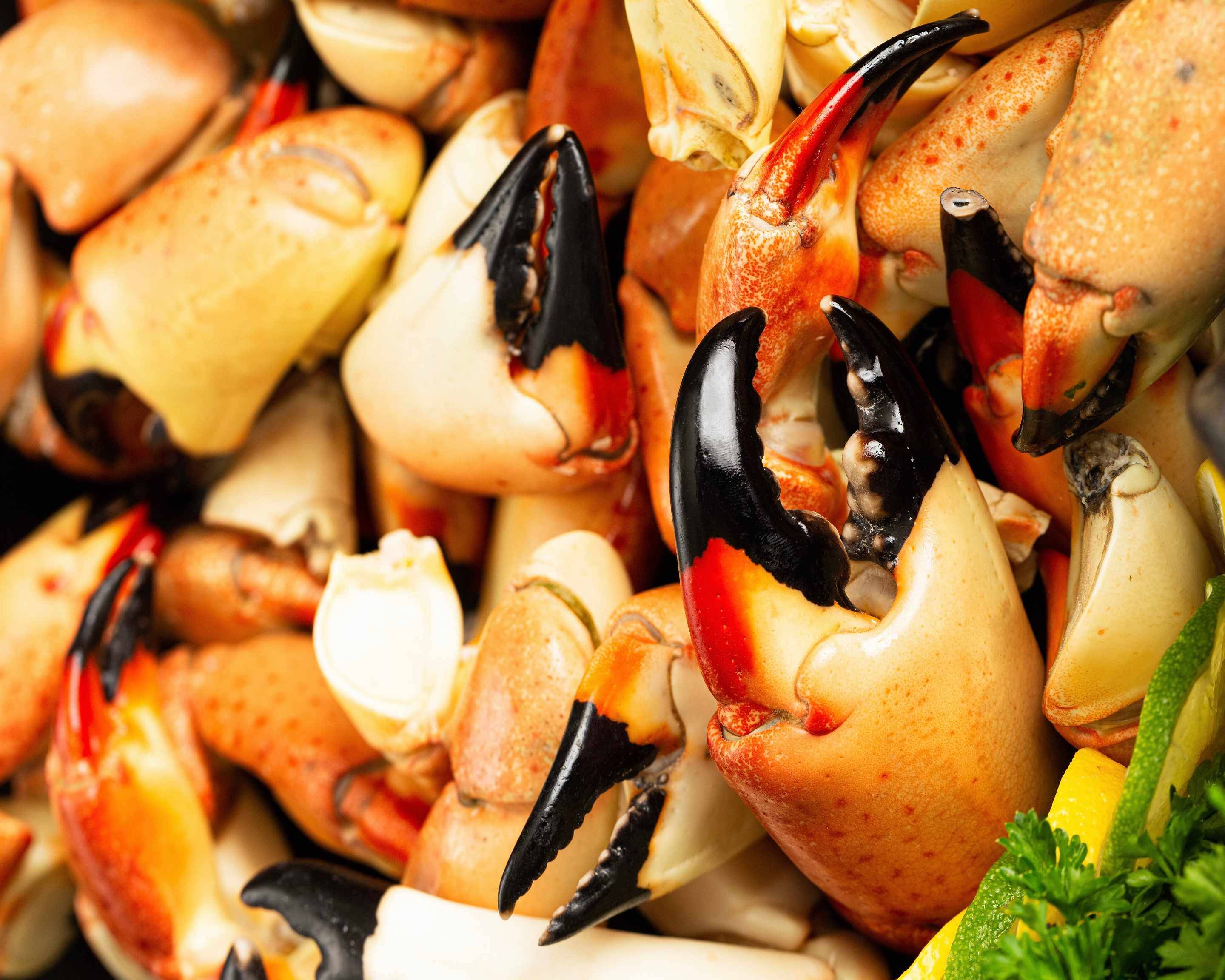 Stone Crabs On The Go Menu Oakland Park • Order Stone Crabs On The Go
