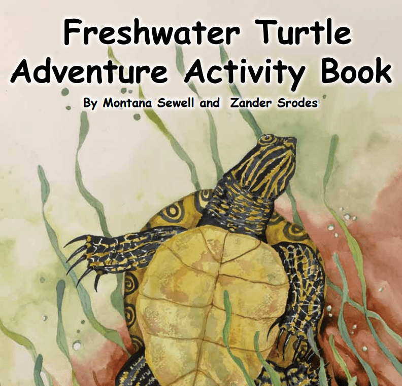Freshwater Turtle Activity Book Tampa Bay Estuary Program