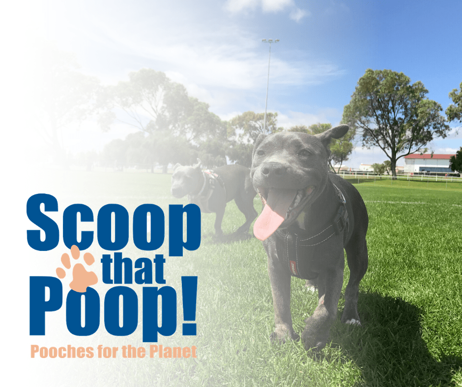 Scoop That Poop! Scoop That Poop Tampa Bay Estuary Program