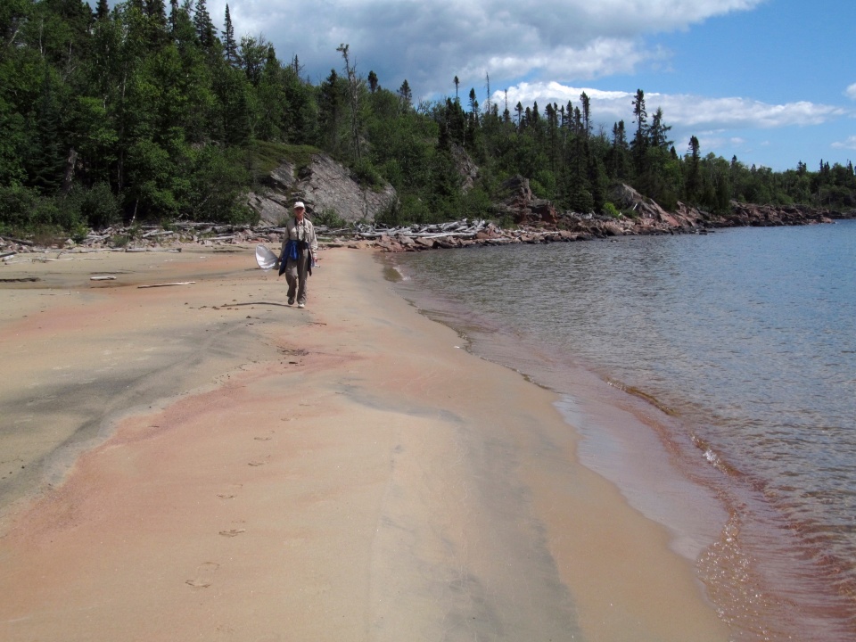 Terrace Bay Thunder Bay Field Naturalists Club