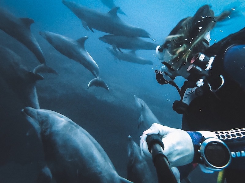 Selecting Your Ideal Diving Trip Tbn Sport