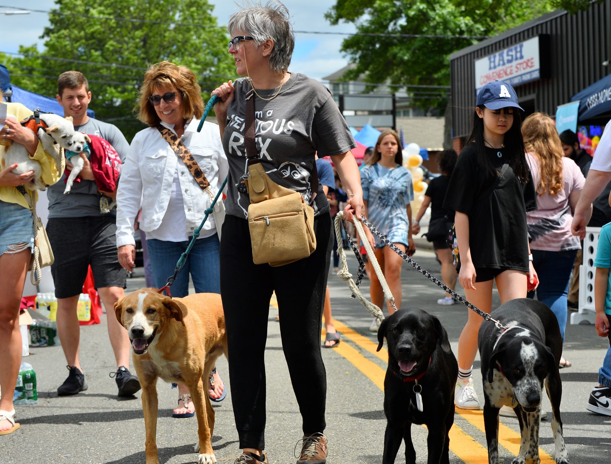 Are Dogs Allowed In Kings Park