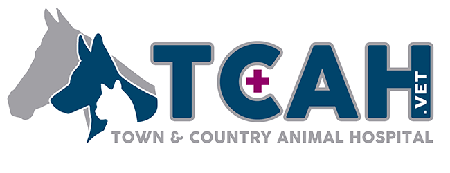 Veterinarians & Team in Kerrville, TX Kerrville Veterinarians Town