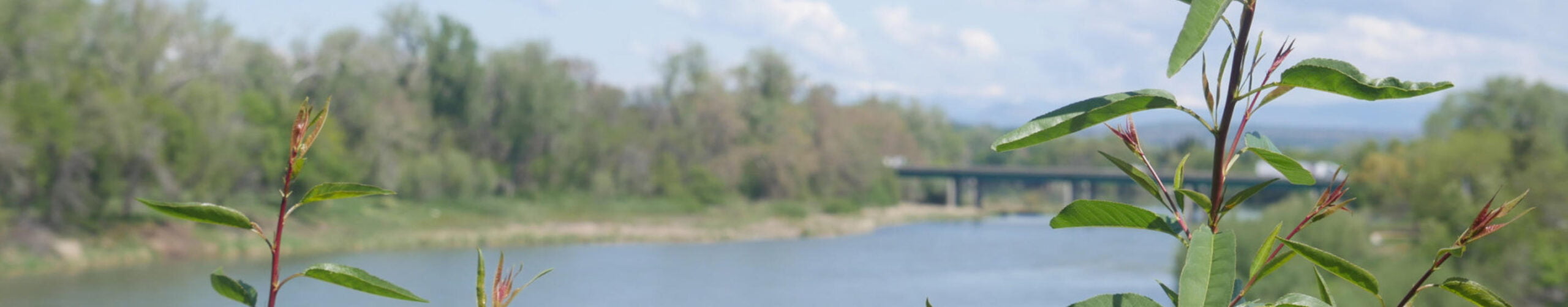 Explore Our Area Tehama County Association of Realtors