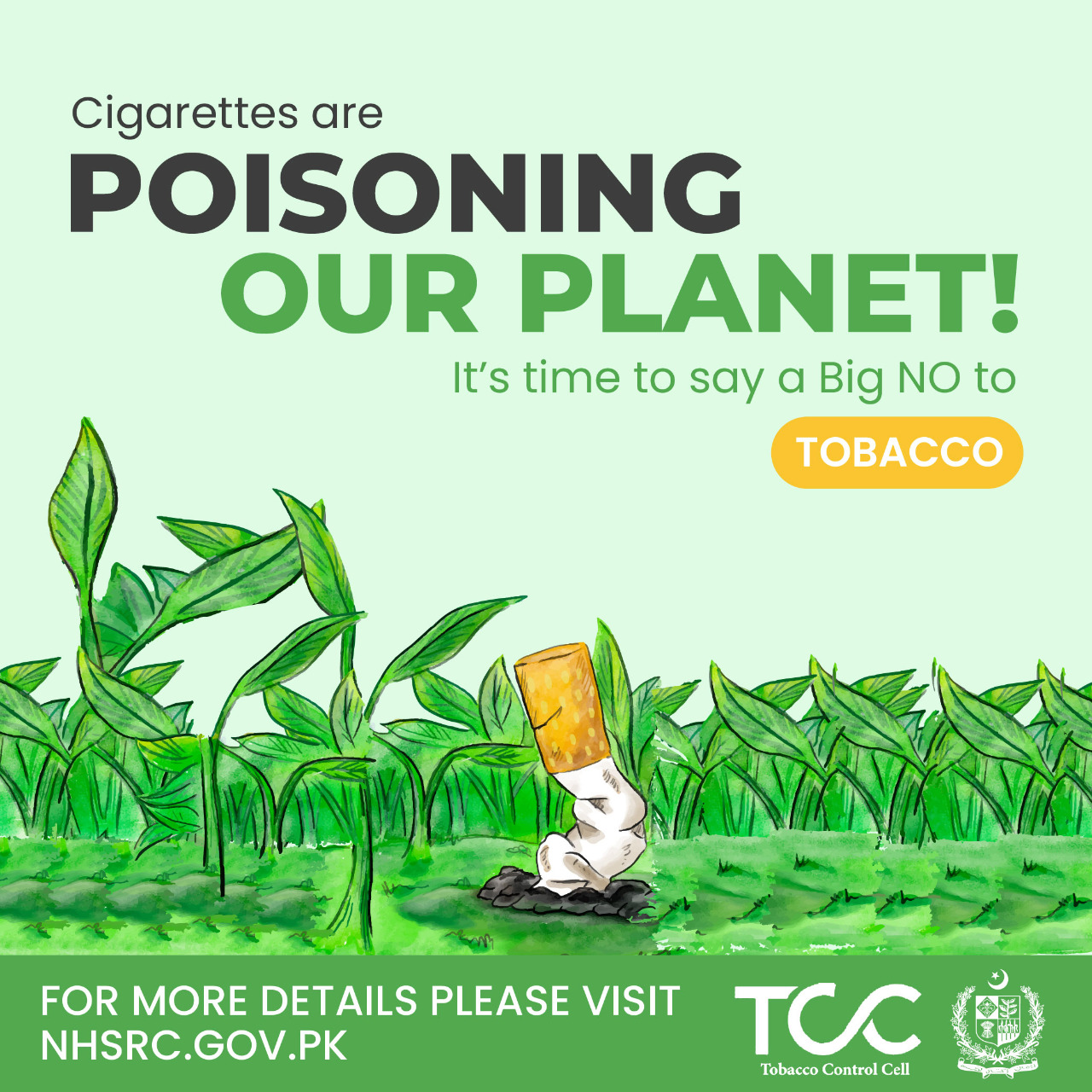 Tobacco Control Cell, NHSR&C Division, Government of Pakistan