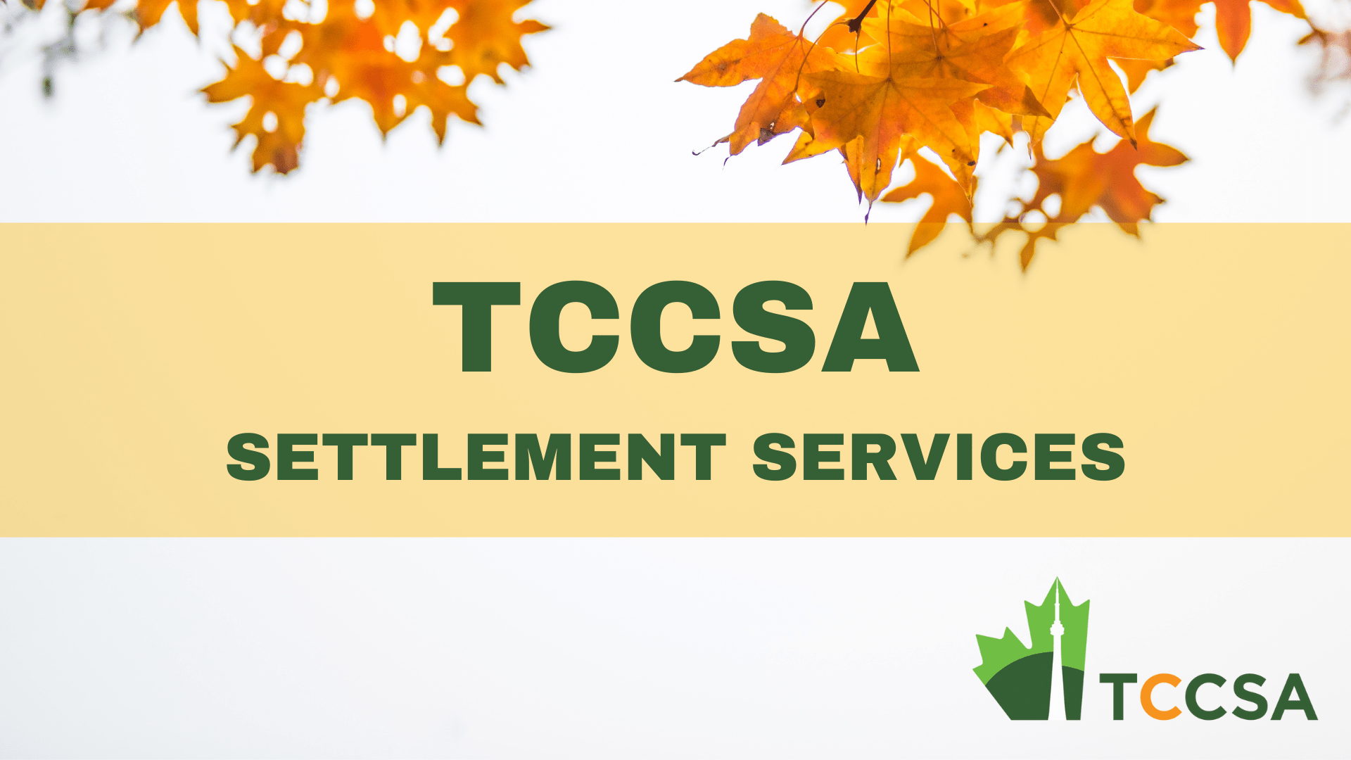 Settlement Services TCCSA