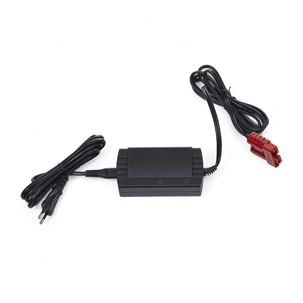 Battery charger Buddy and Buddy Lift Zonzini Shop