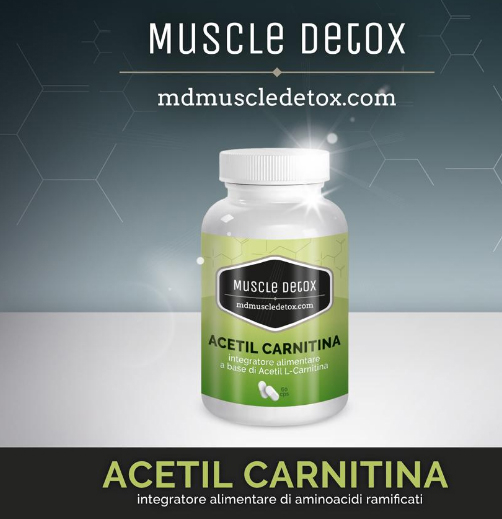 Acetil carnitina a cosa serve e quando assumerla