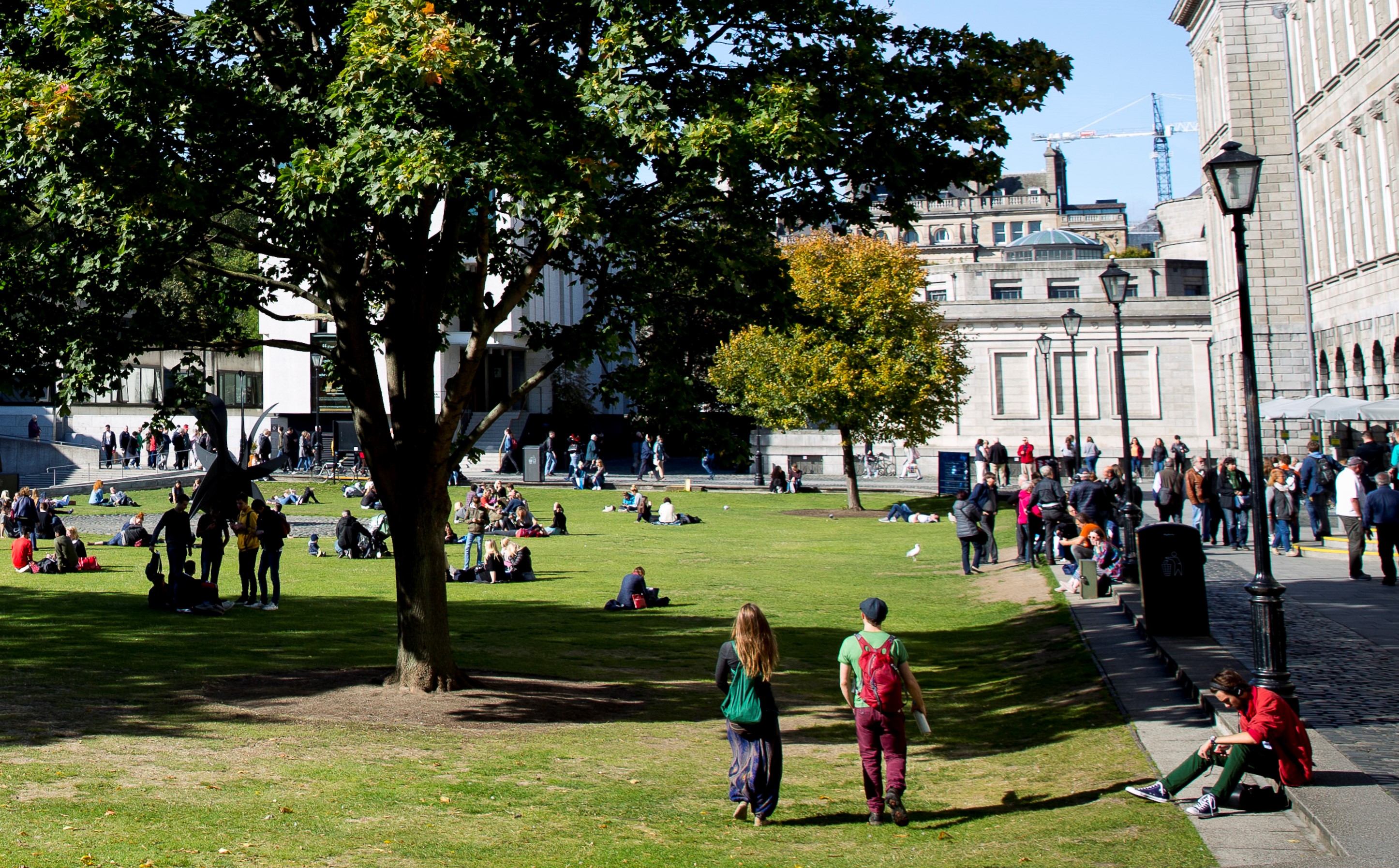 Group Study Rooms TCD Sense