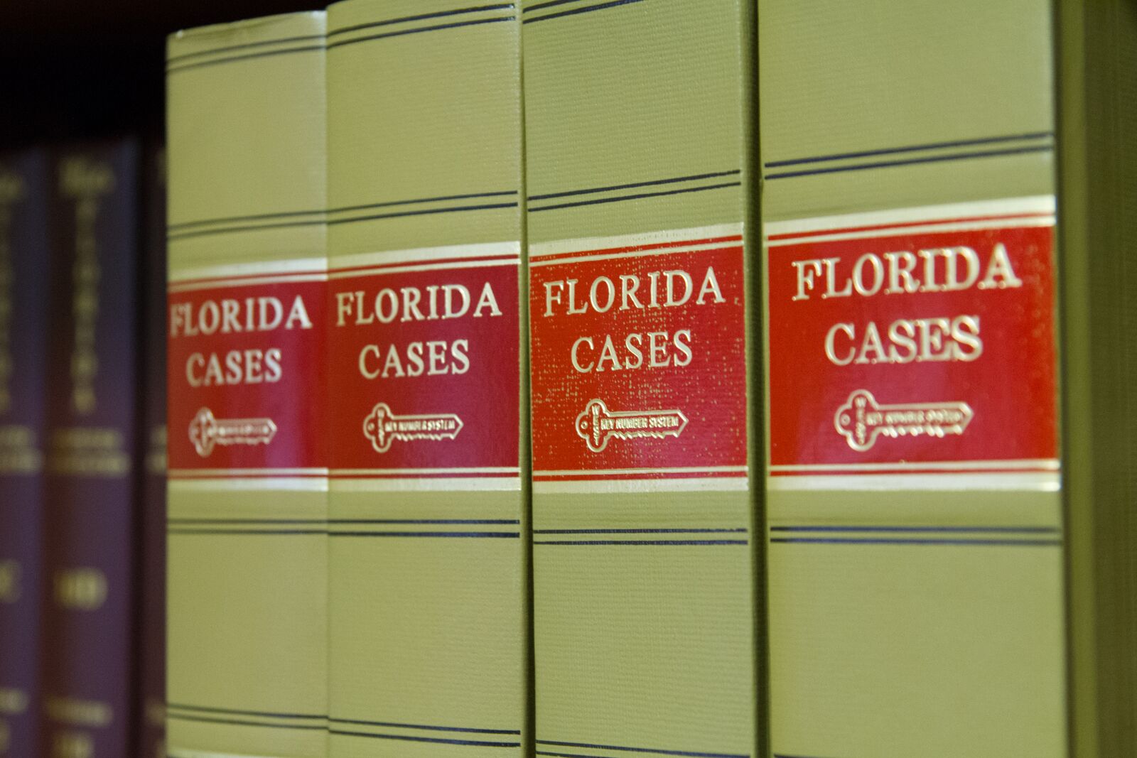 Home Tammi A. Calarco, Esq.