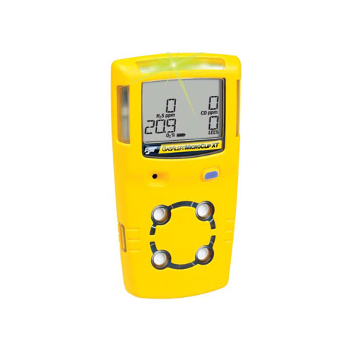 BW Gas Detector Suppliers in UAE Buy Online Now