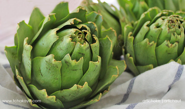 artichoke-haiti-artichaut