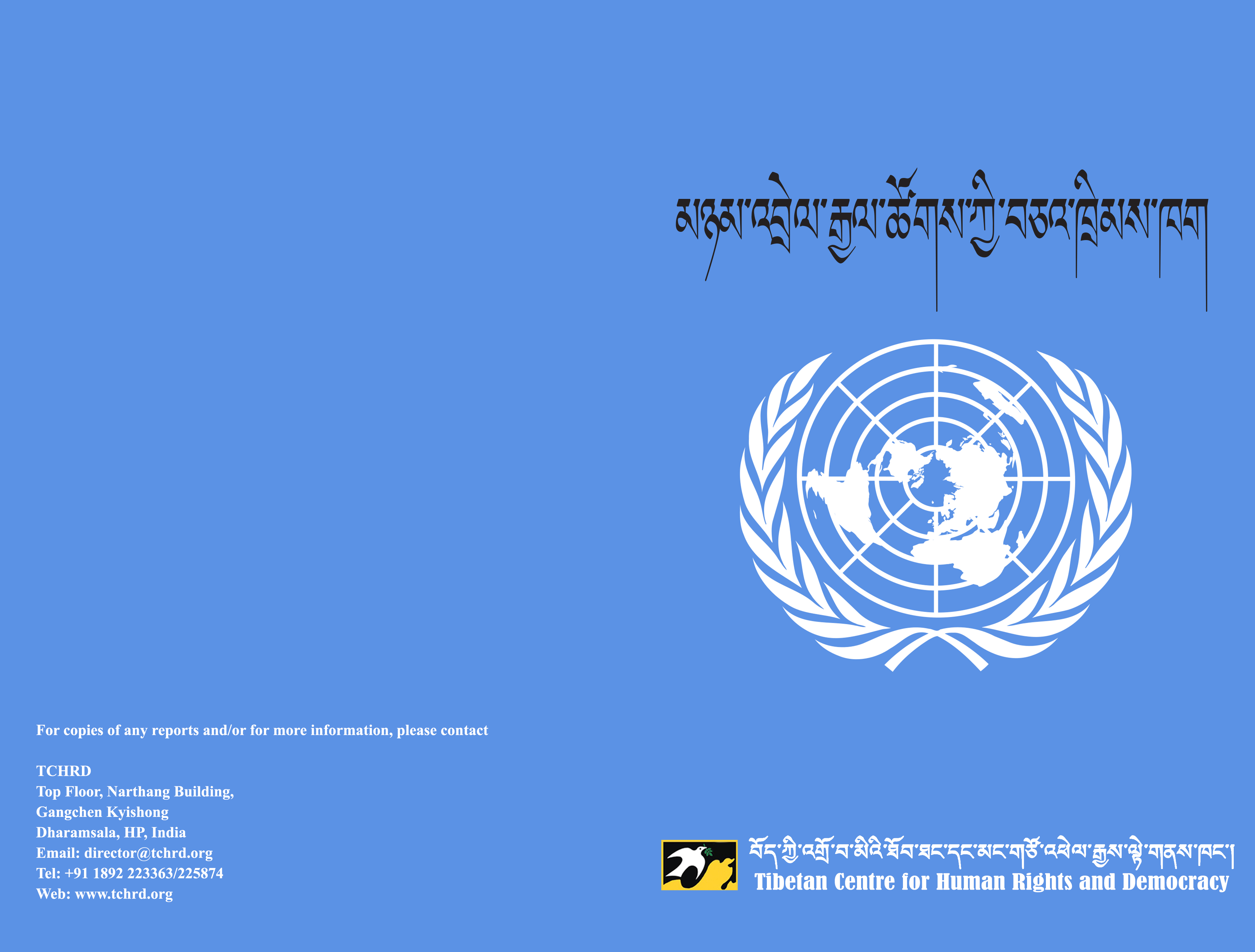 TCHRD releases two new publications on ‘village democracy