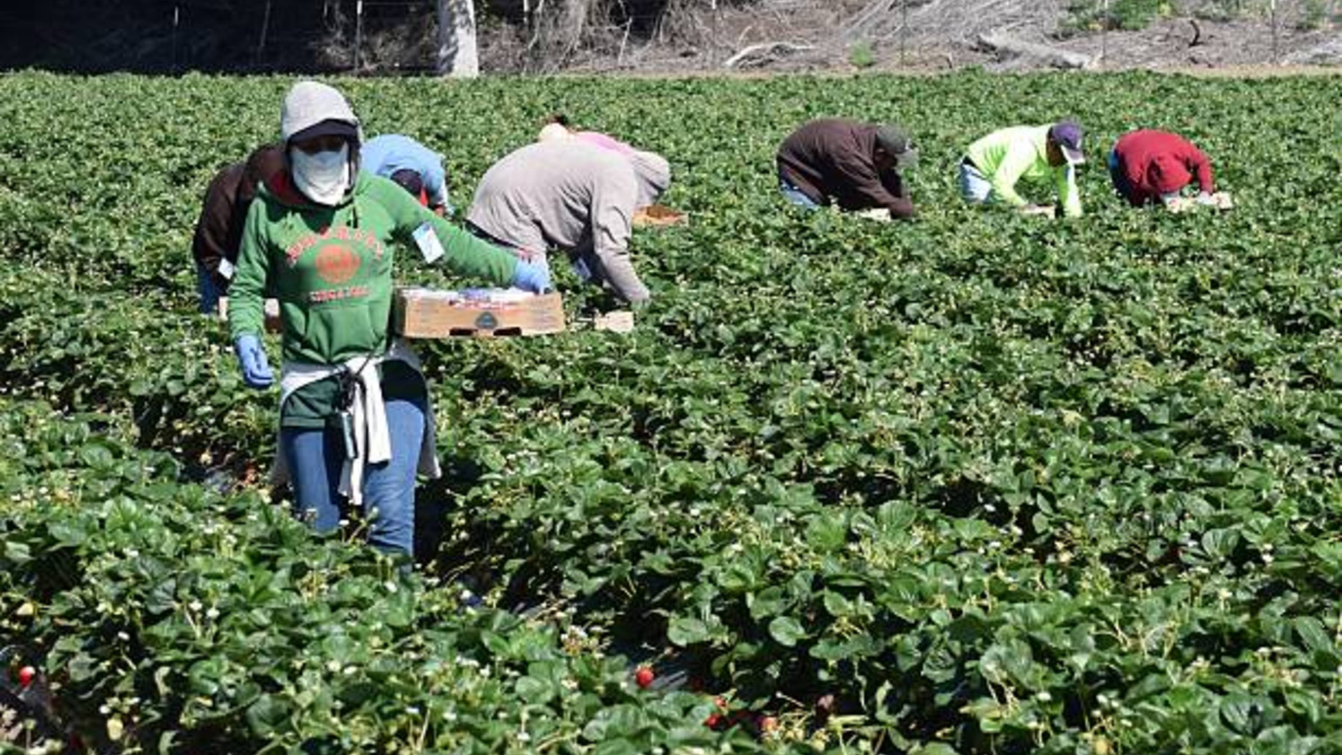 A Backpacker's Guide to Working in Costa Rica TCI