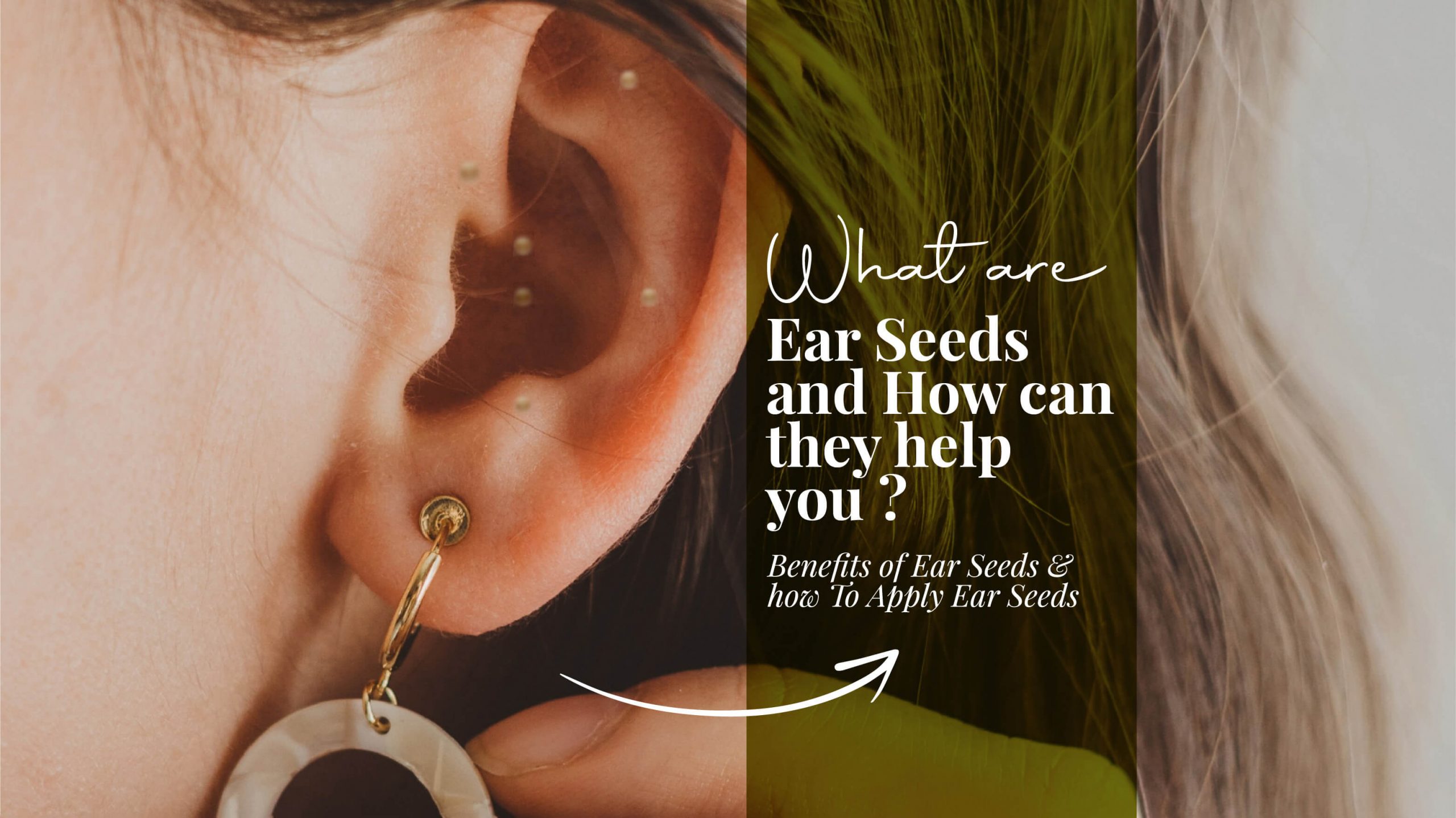 What Are Ear Seeds and their Benefits Where To Buy Ear Seeds