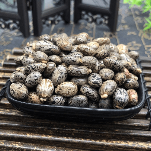 skin diseases,burns, furuncles, abscesses_Castor