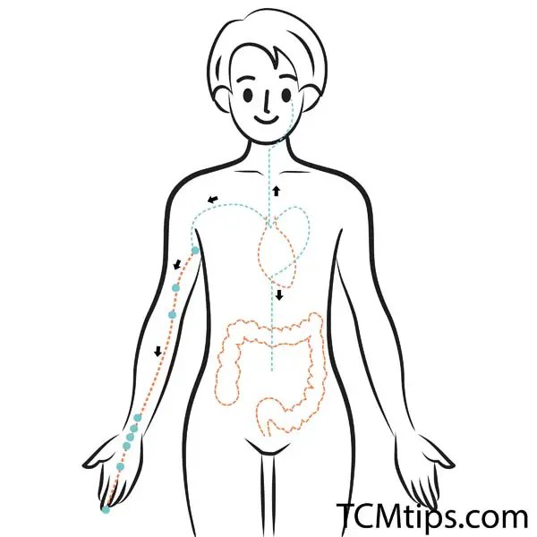 The 3 Heart Pressure Points That Relieve My Heart Problems TCM Tips