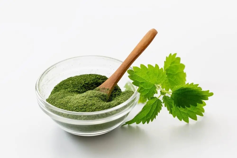 Chinese Herbs For Hair Growth Easy TCM Wisdom Your Path to DIY