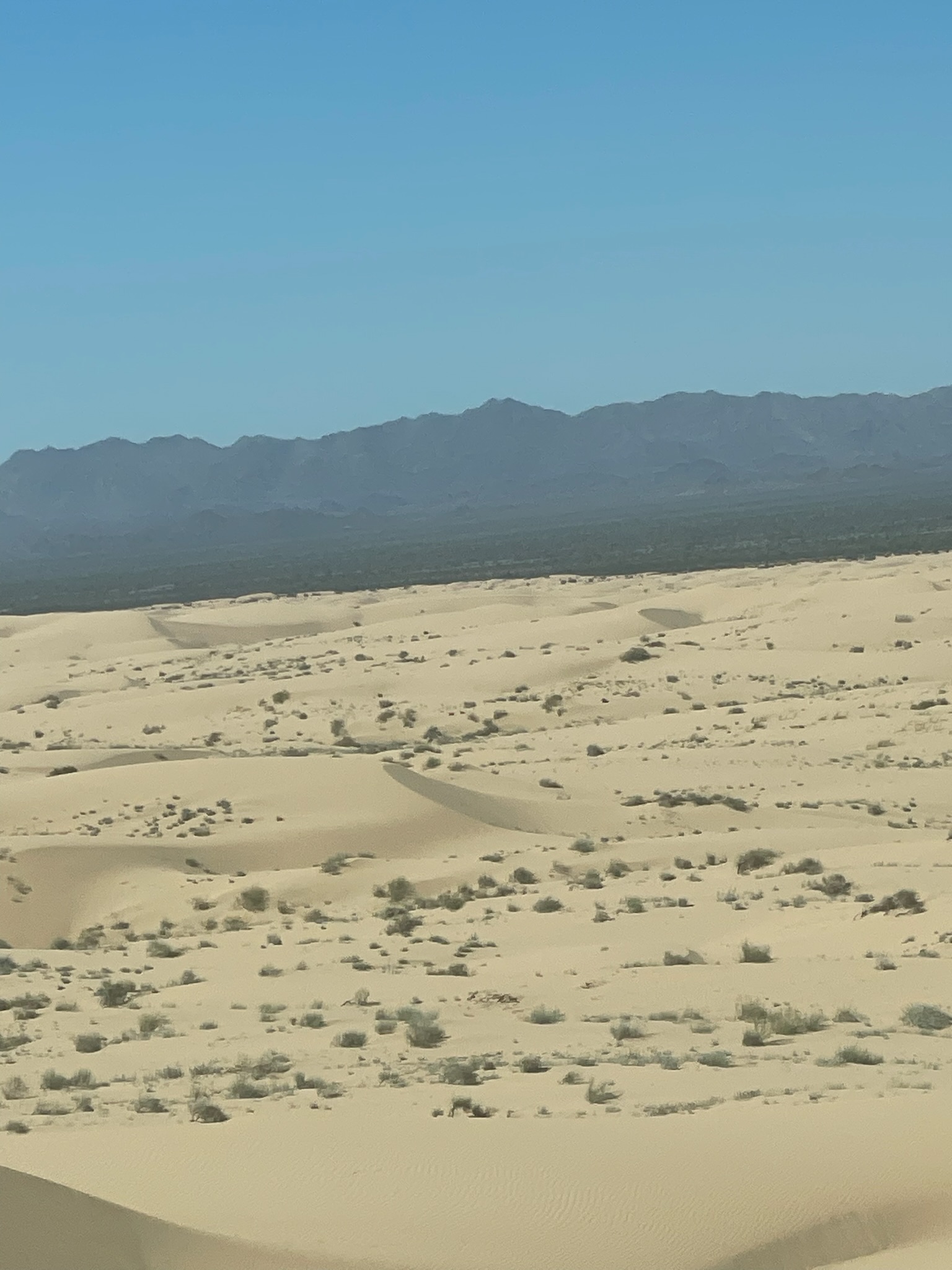 Day 4Indio to Brawley, CA. 79 miles and basically flat