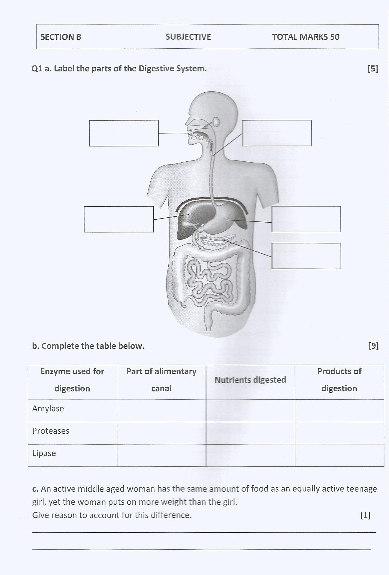 GRADE 8 PAST EXAM PAPERS AND MEMOS (PDF) SOUTH AFRICA