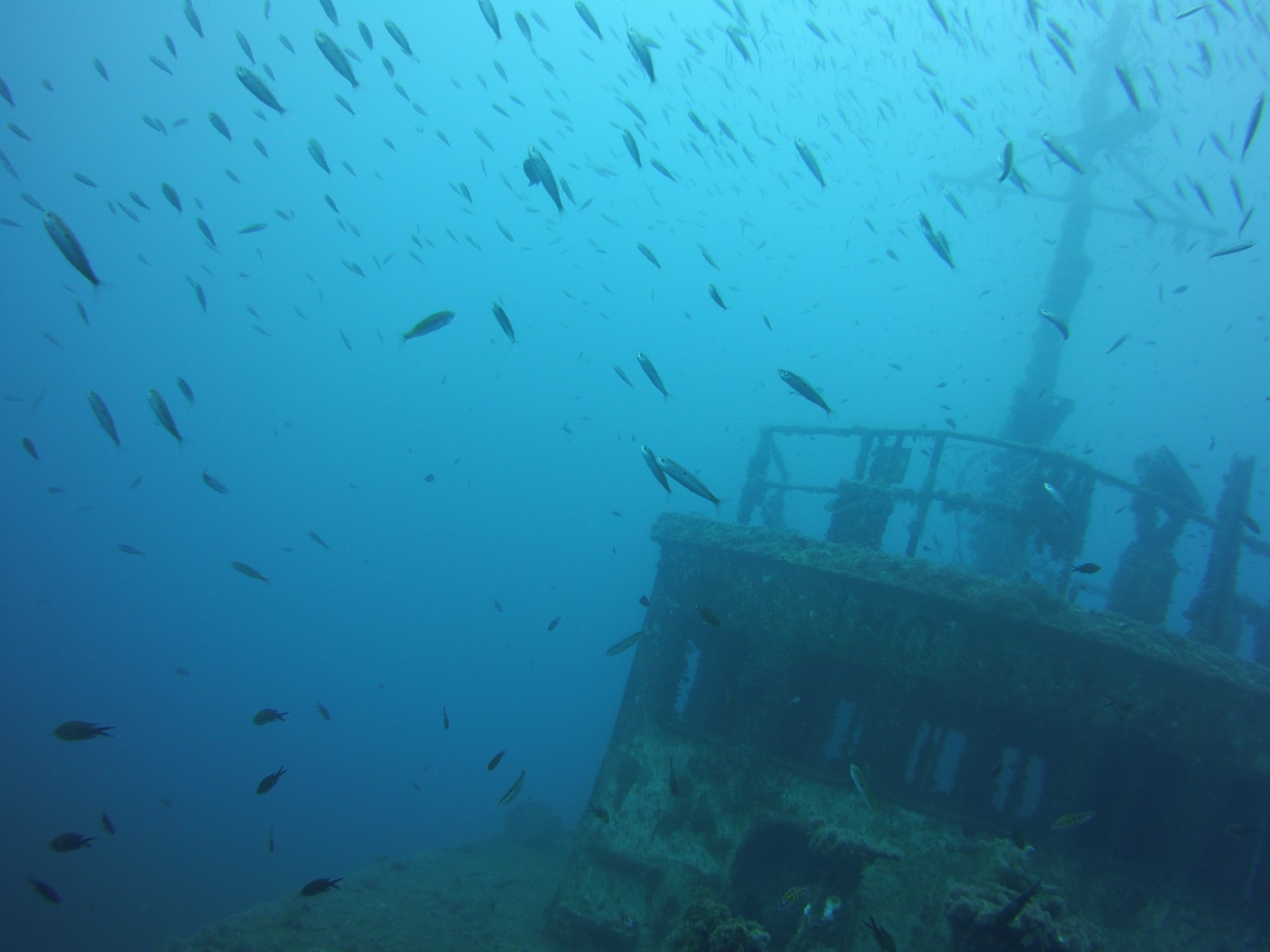 Scuba diving in Limassol TD Diving