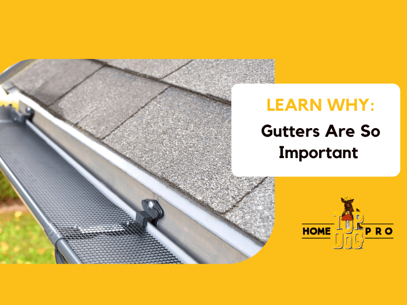 5 Reasons Why Gutters Are Important For Your Home! Top Dog Home Pro