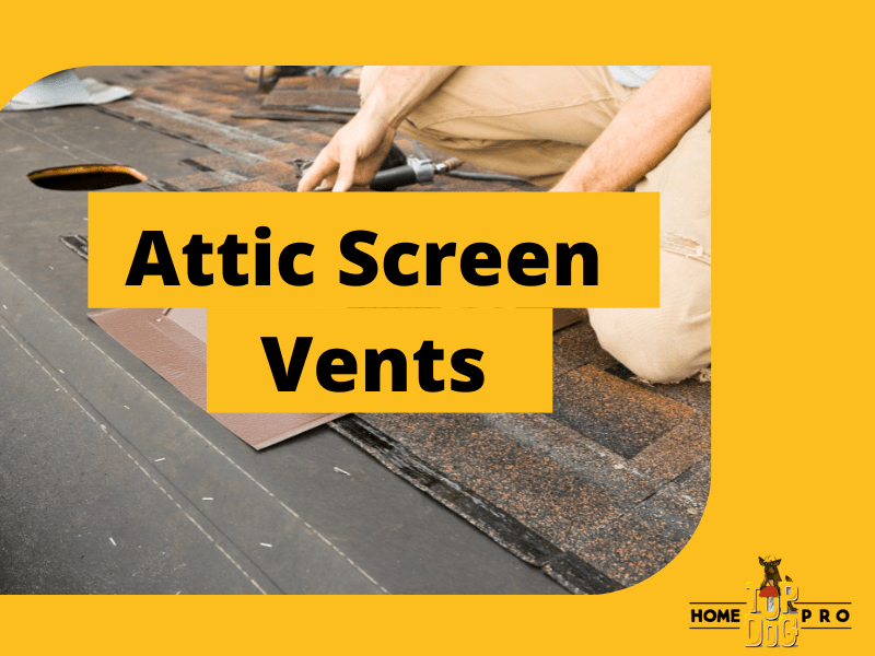 Attic Screen Vents What Are They & How to Get New Ones! Top Dog Home Pro