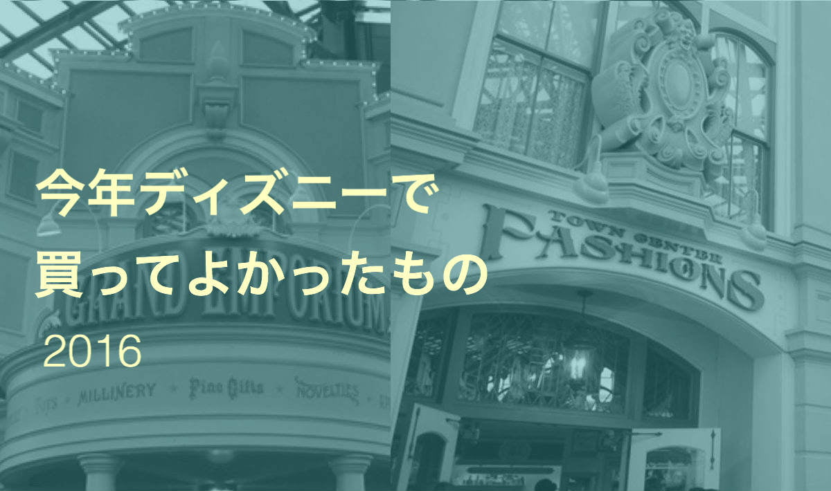 16年 ディズニーで今年買って一番よかったもの Tdrハック