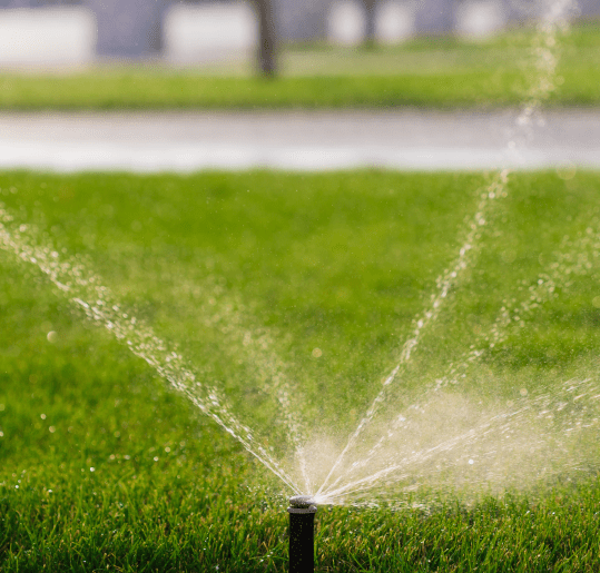 Need Sprinkler Repair In Mesa? Contact Us For A Free Estimate