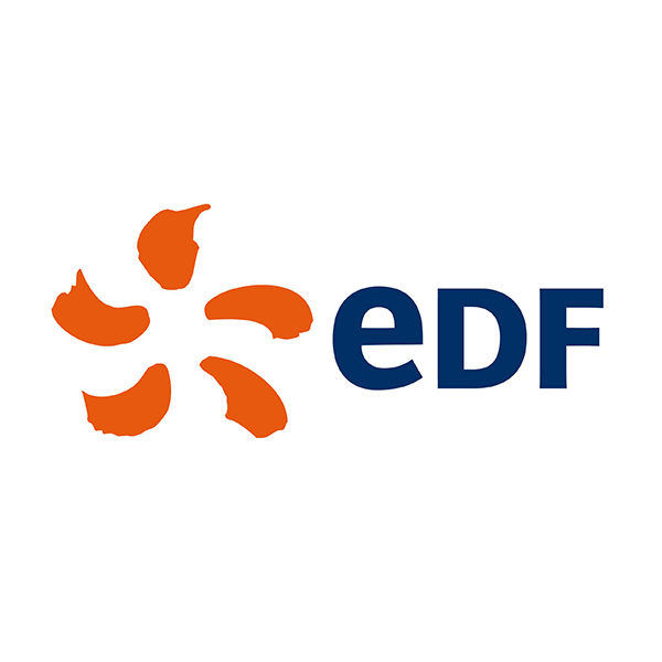 logoedf TDS Consulting