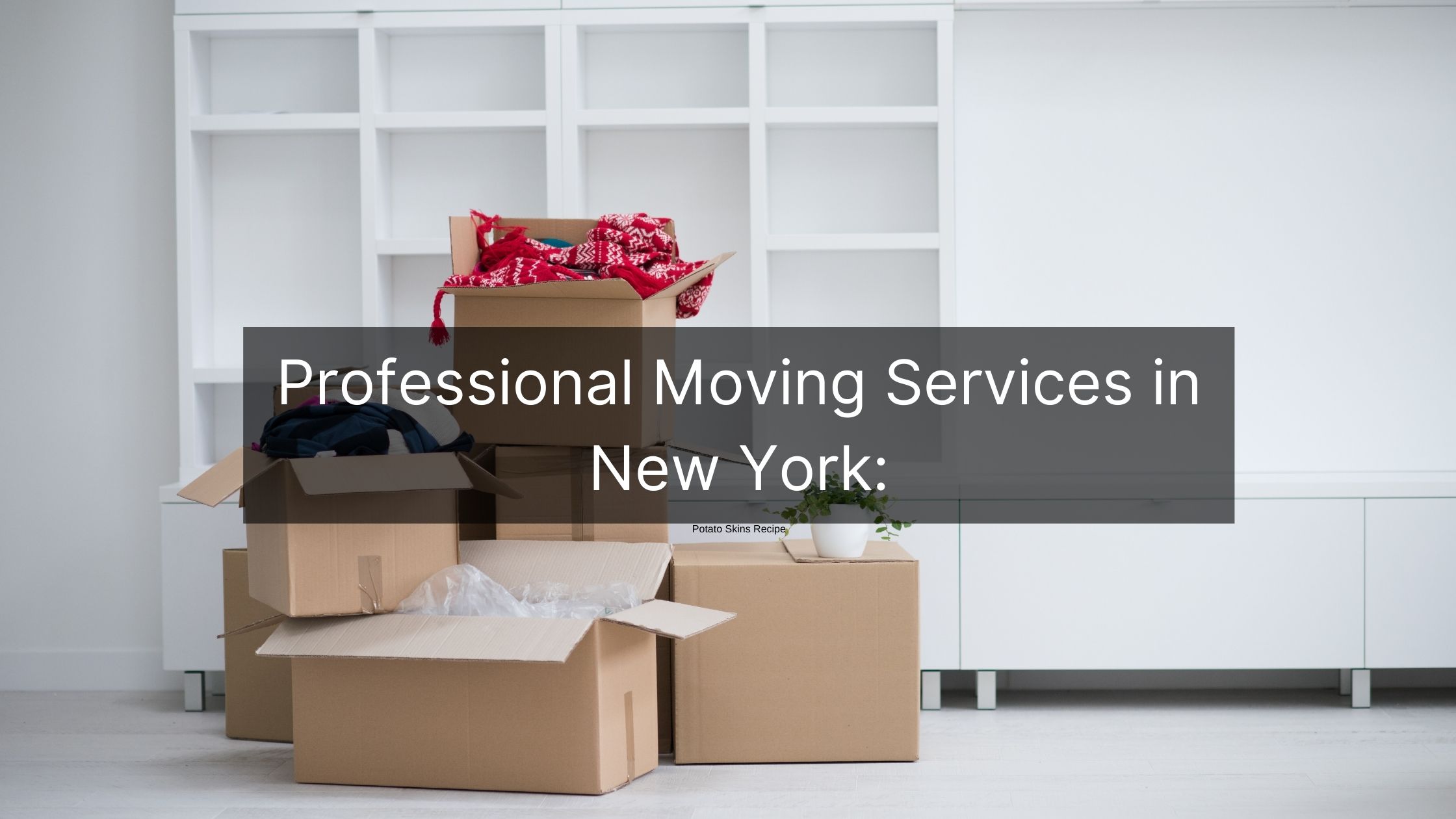 Moving Company in Brooklyn Movers NYC Manhattan Packers Movers