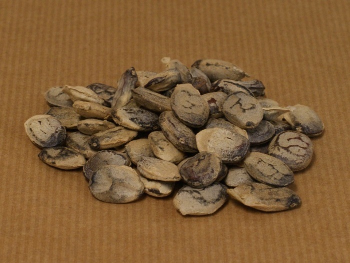 Dill Tea Benefits and Properties Tea Almanac