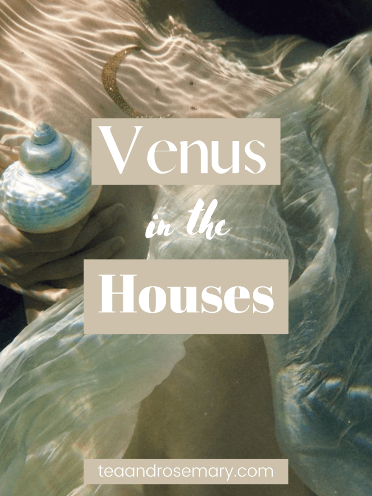 Venus In The Houses Tea & Rosemary
