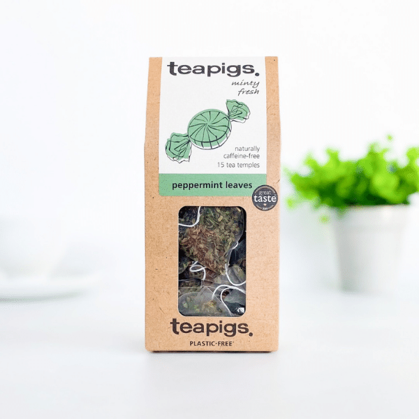 Teapigs Peppermint Tea 15 tea bags Tea At Heart