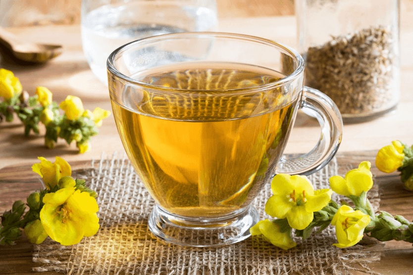 Mullein Tea Benefits And Brewing Tips Tea Backyard