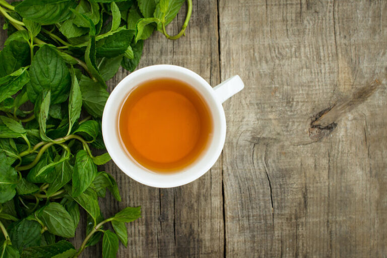 When Does Tea Expire? A DataBacked Answer Tea Backyard