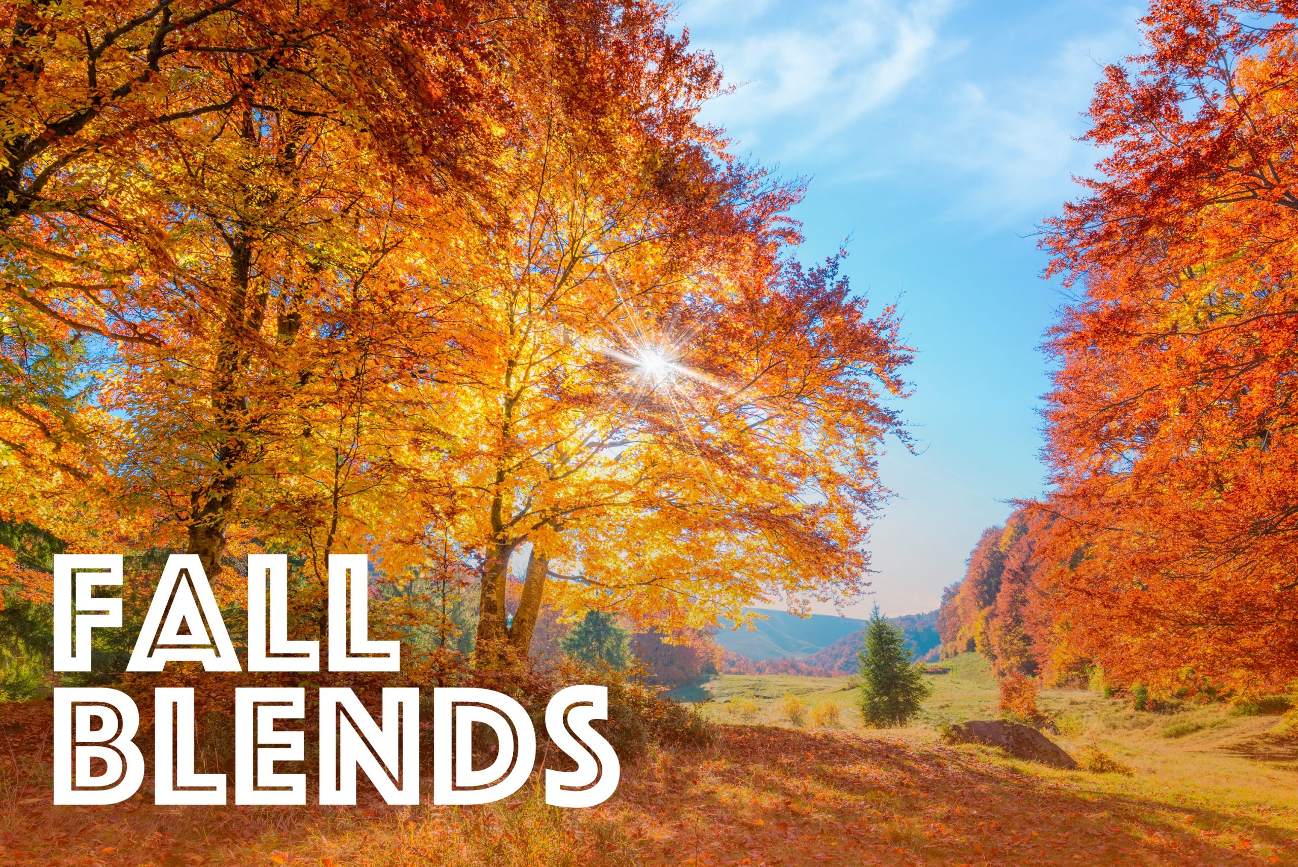 Tea By Two Bel Air, Maryland