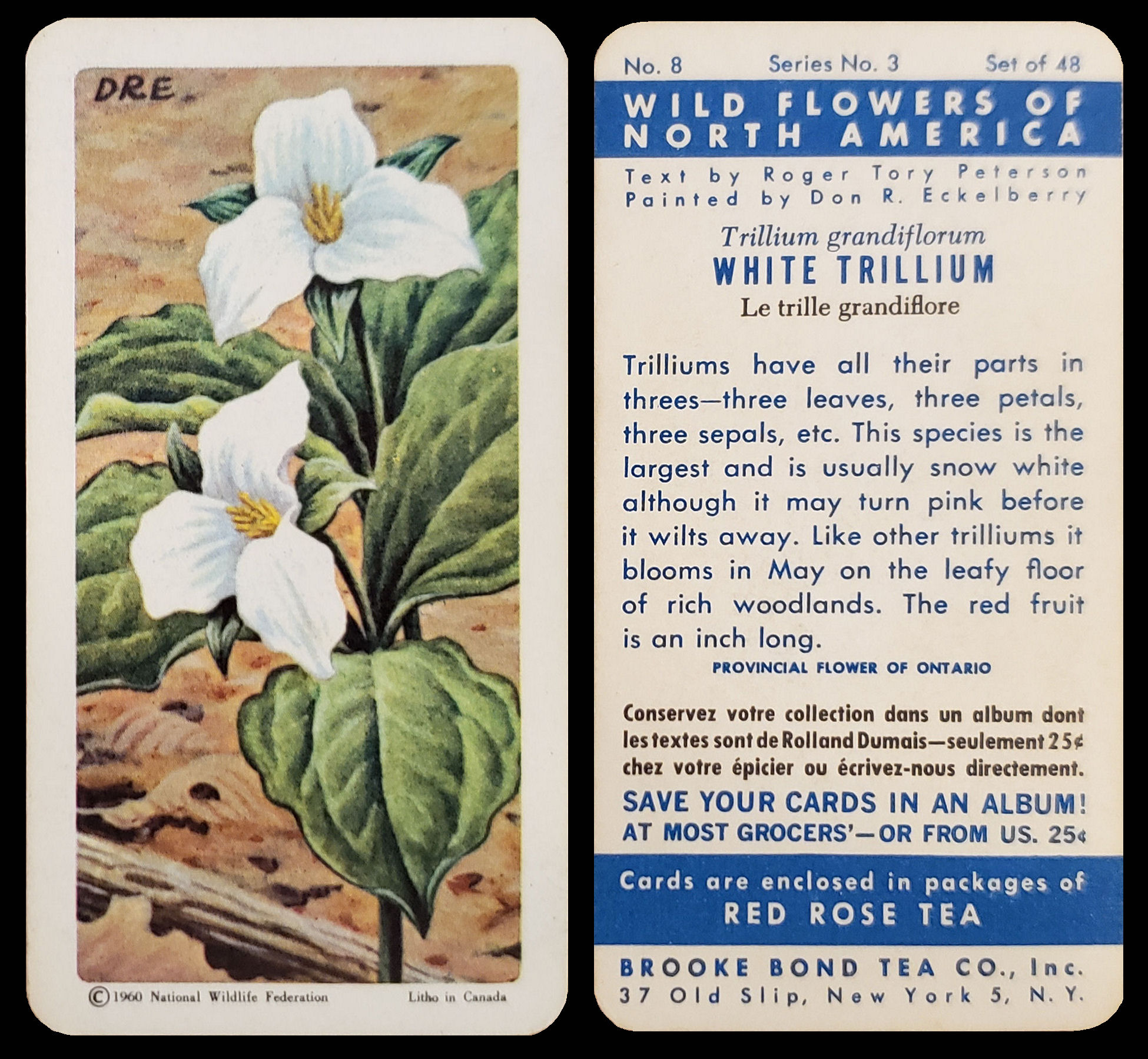 Tea Cards Site Map Page