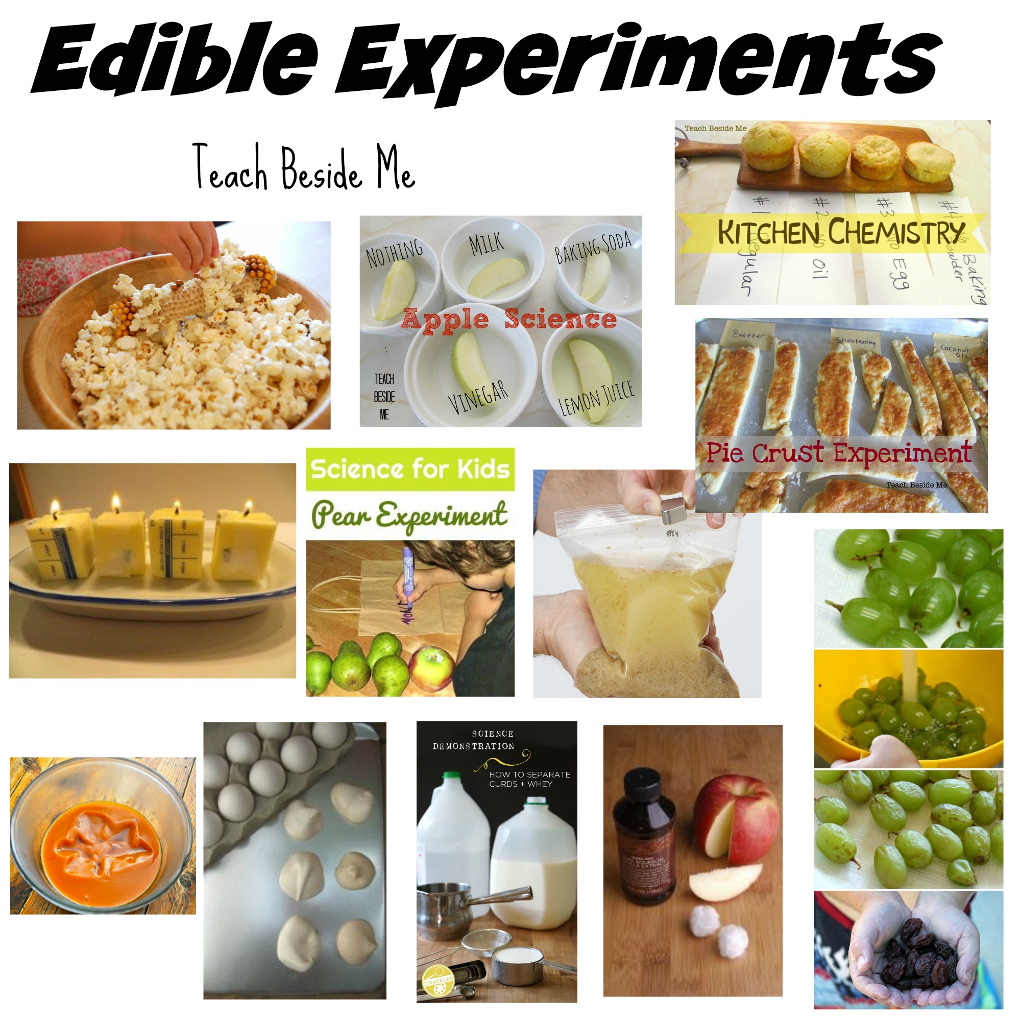 100 Edible Education Projects Teach Beside Me