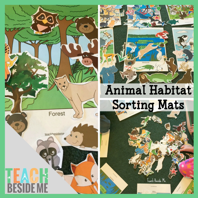Animal Habitat Sorting Mats Teach Beside Me